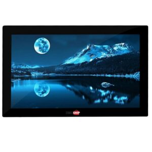 Monitor DMC 21 5  FHD Mini HDMI Black Casse   Grado A