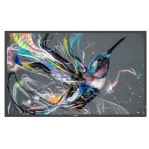 MONITOR PHILIPS DIGITAL SIGNAGE 50" Q-LINE 50BDL3511Q/00 8MS MM UHD BLACK DVI 2XHDMI 2XUSB LAN VESA NO BASE FINO:31/03