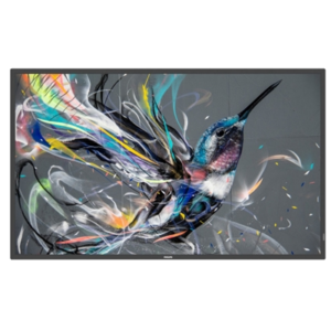 MONITOR PHILIPS DIGITAL SIGNAGE 50" Q-LINE 50BDL3511Q/00 8MS MM UHD BLACK DVI 2XHDMI 2XUSB LAN VESA NO BASE FINO:31/03