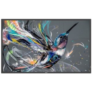 MONITOR PHILIPS DIGITAL SIGNAGE 42.5" Q-LINE WIDE 43BDL3511Q/00 8MS MM FHD BLACK DVI 2XHDMI 2XUSB LAN VESA NO BASE FINO:31/03