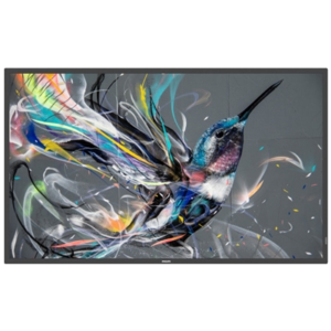 MONITOR PHILIPS DIGITAL SIGNAGE 42.5" Q-LINE WIDE 43BDL3511Q/00 8MS MM FHD BLACK DVI 2XHDMI 2XUSB LAN VESA NO BASE FINO:31/03