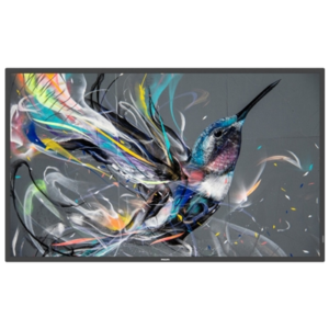 MONITOR PHILIPS DIGITAL SIGNAGE 65" Q-LINE 65BDL3511Q/00 8MS MM UHD BLACK DVI 3XHDMI 2XUSB LAN VESA NO BASE